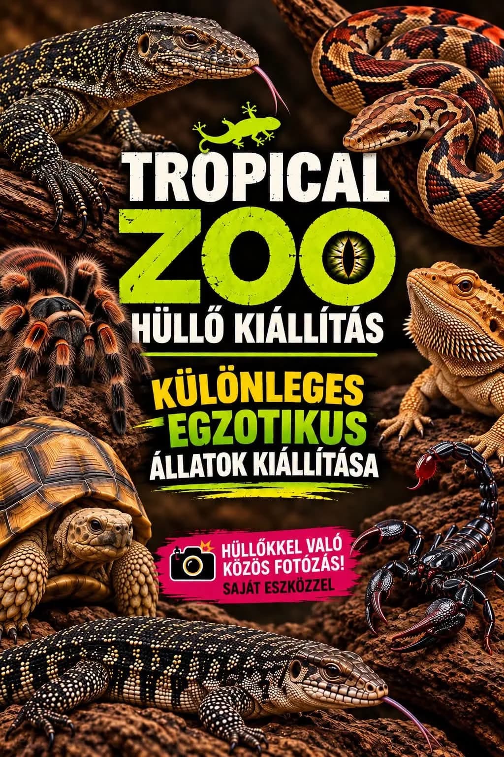 Tropical Zoo – Hüllőkiállítás