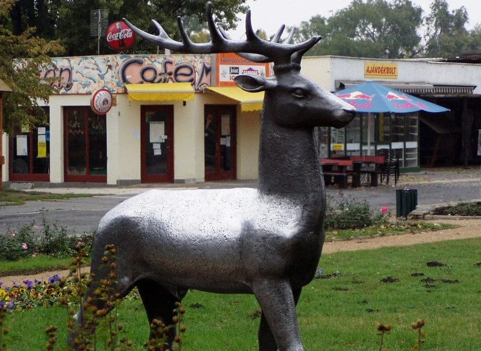 Csodaszarvas