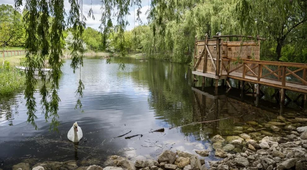 Pákozdi Pagony Vadaspark és Arborétum