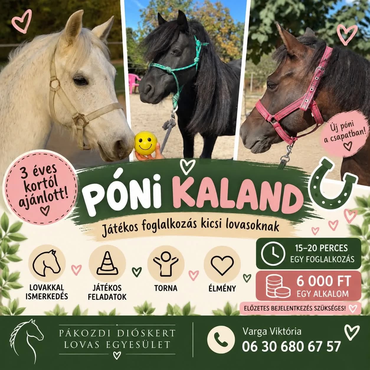 Póni Kaland a legkisebb lovasoknak Pákozdon