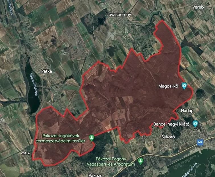 Erdőlátogatási felhívás – vadászati időszak a Velencei-hegységben