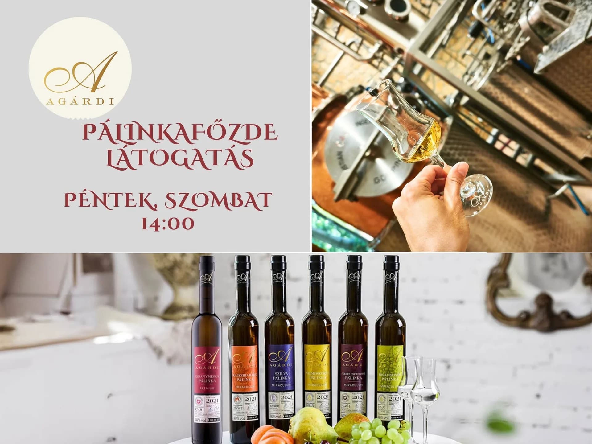 Pálinkafőzde-látogatás az Agárdi Pálinkafőzdében