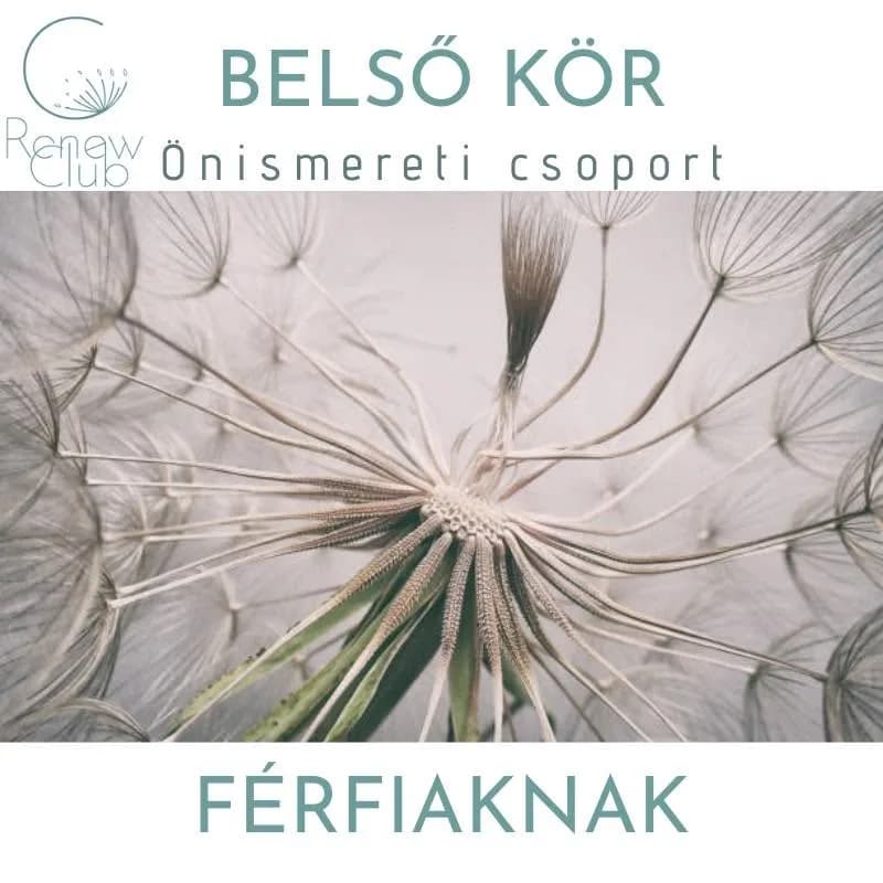 Férfi Kör – Visszatérés a belső tartópillérhez
